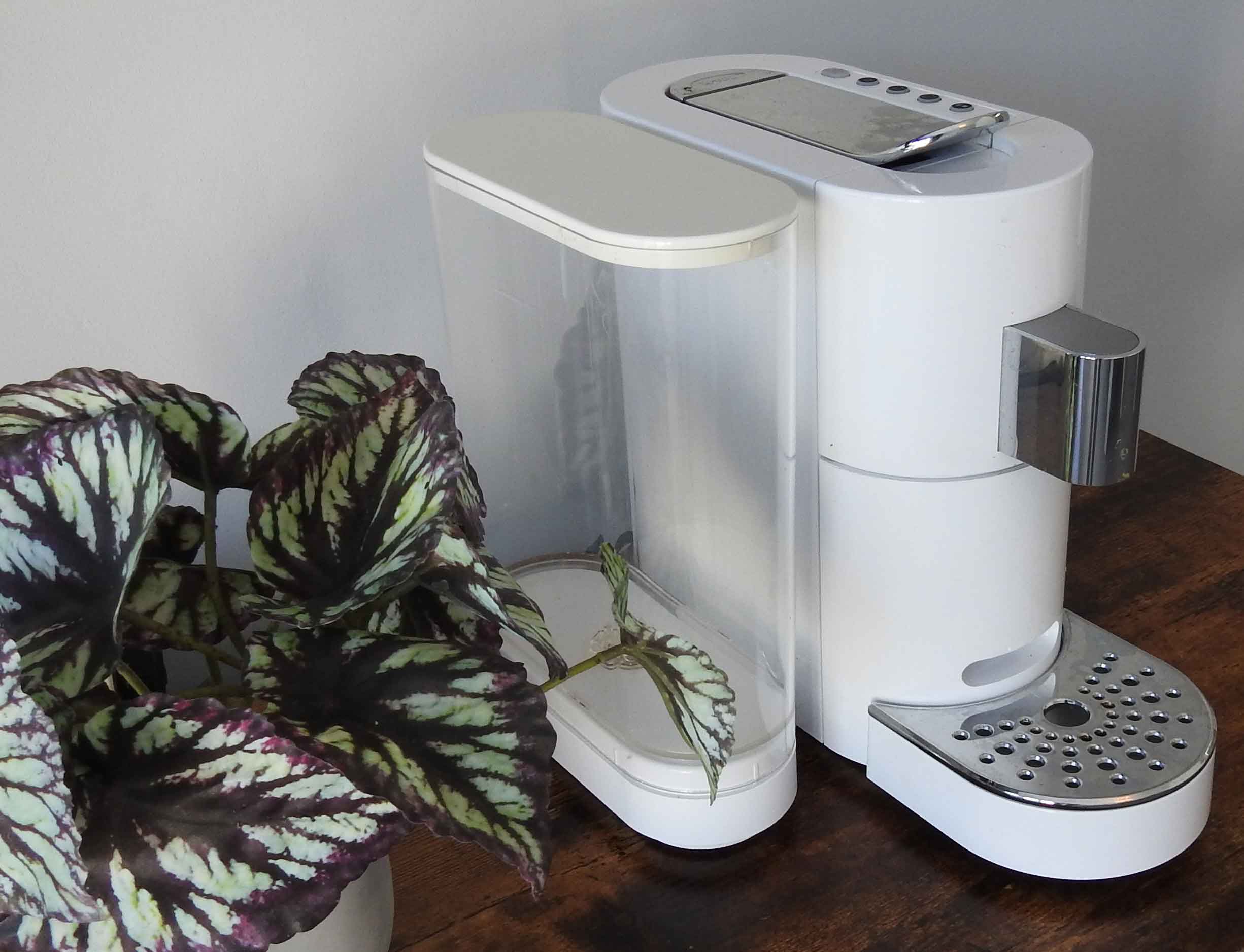 Milkwood Meadows Bed & Breakfast image13